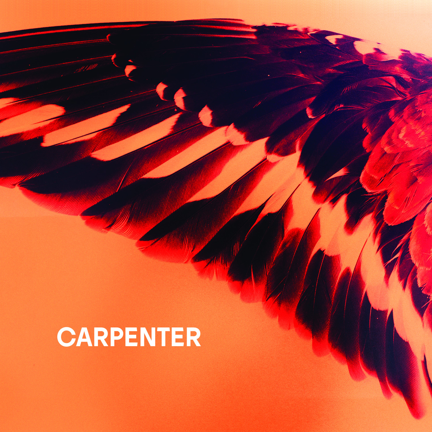 Carpenter - Sea To Sky