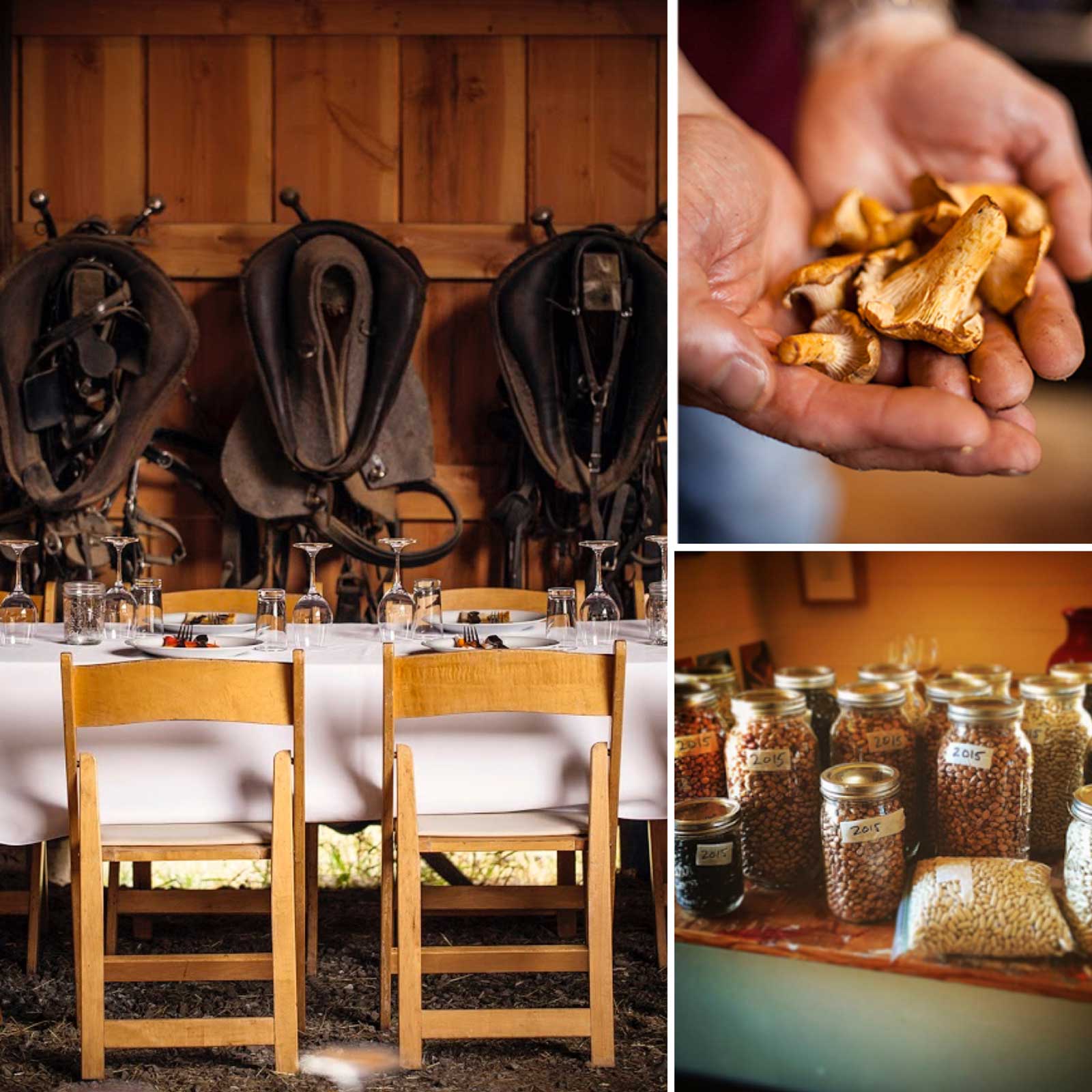  Big Table Farm Collage – Horse Bridals, Chanterelle Mushrooms, Dining Table, Dry Foods Stored in Mason Jars. 