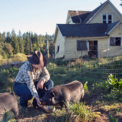  Big Table Farm – Clare feeding the pigs right out of her hand. 