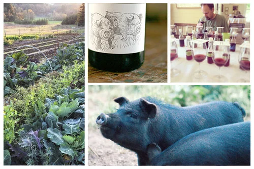 2015-Big-Table-Farm-Willamette-Valley-Pinot-Noir.jpg