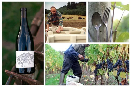 2015-Pelos-Sandberg-Pinot-Noir.jpg