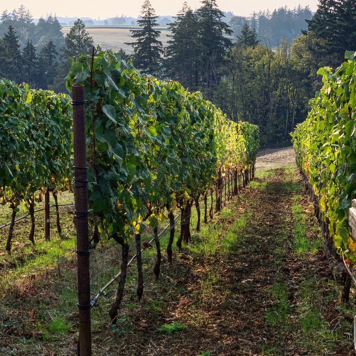 3303543F-DFB2-4FEA-B2FE-06788704081D 2.JPG