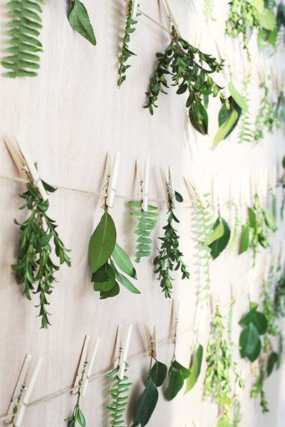 Hanging Foliage with Clothespin. Photo from lonny.com .