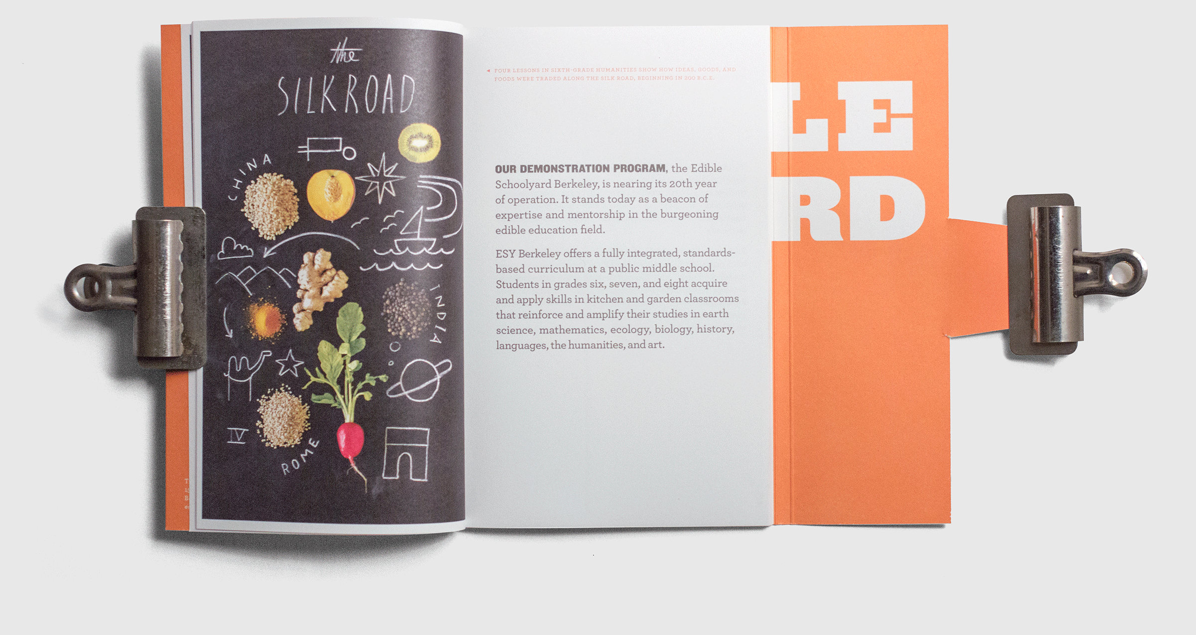 edible_schoolyard_project_annual_report_8.png