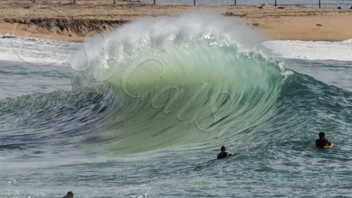 Southside Wave Watermarked.JPG