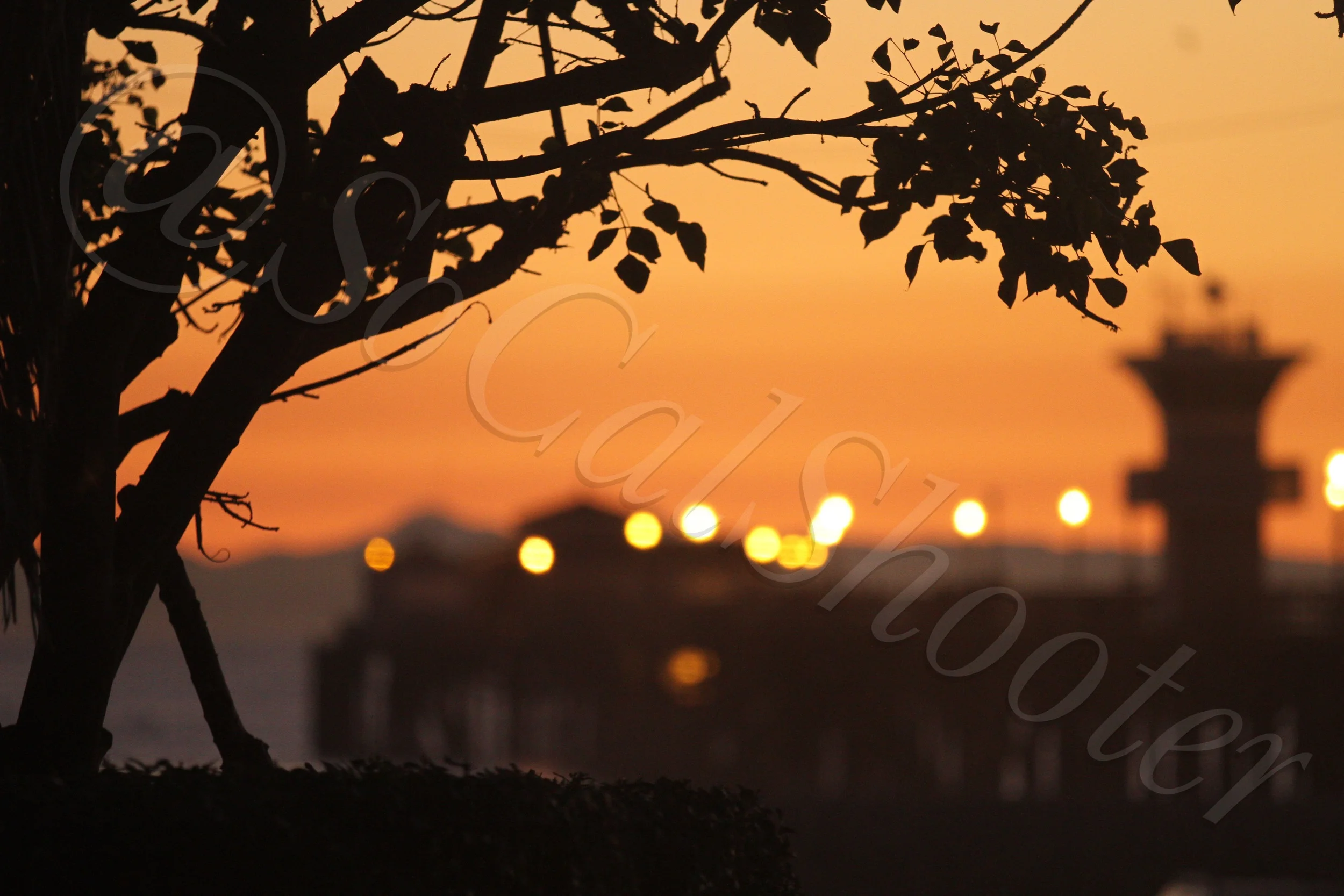 SB Pier out of focus Sunset Watermarked.JPG