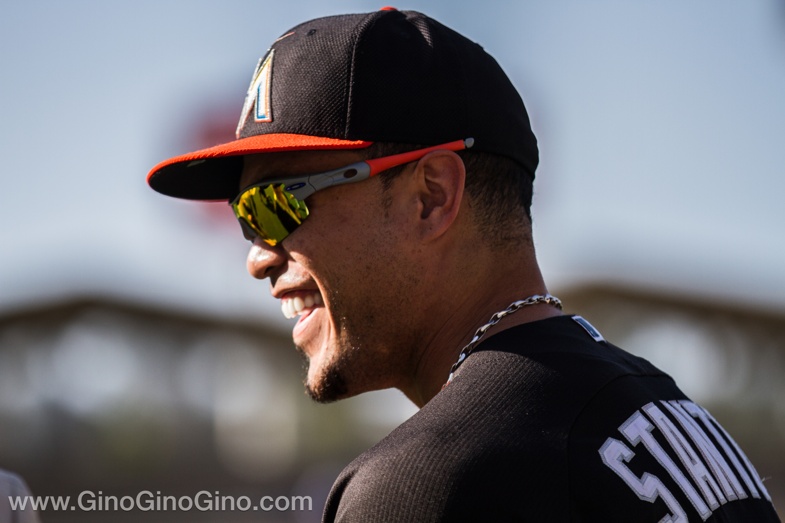 Stanton Smile
