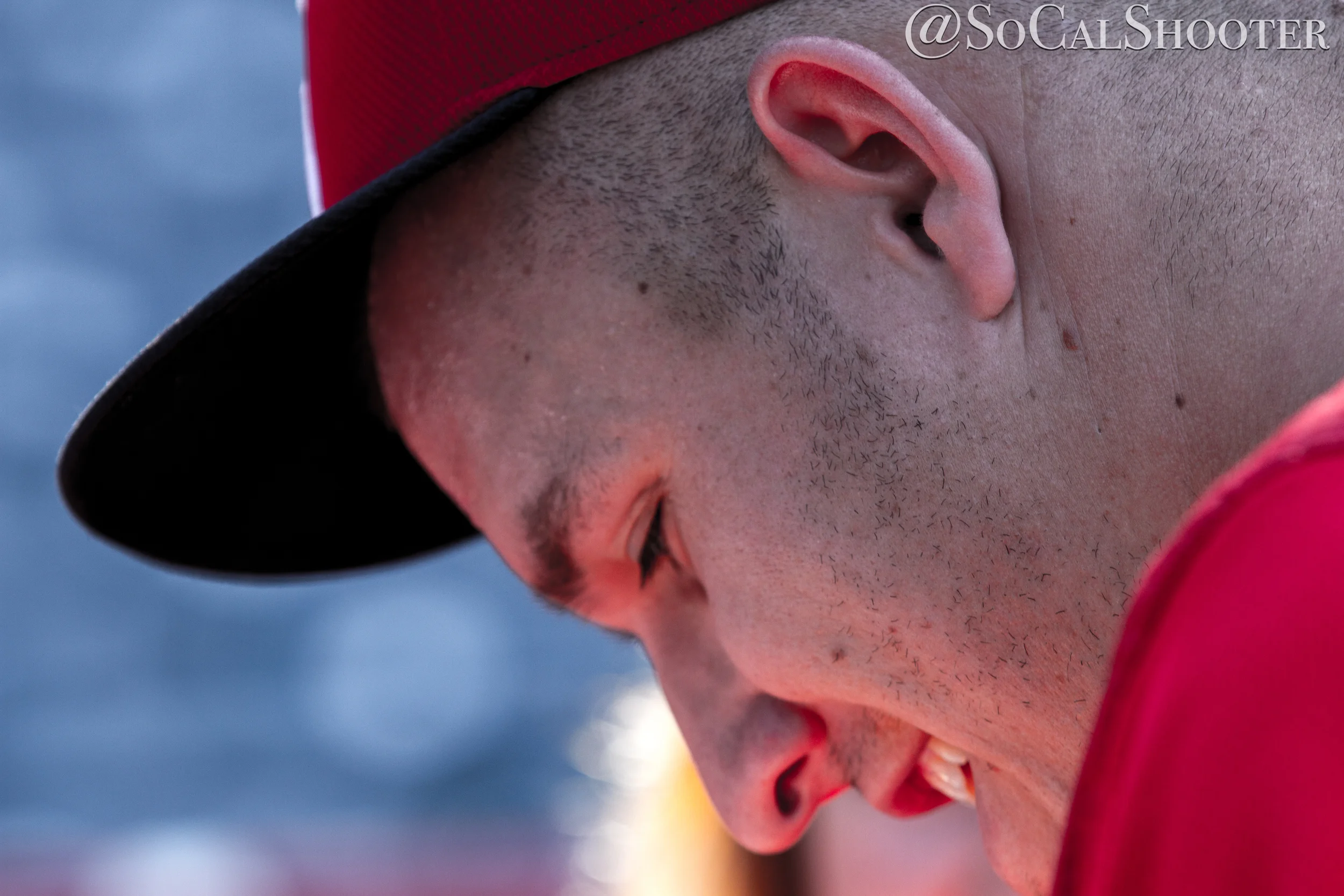 Mike Trout
