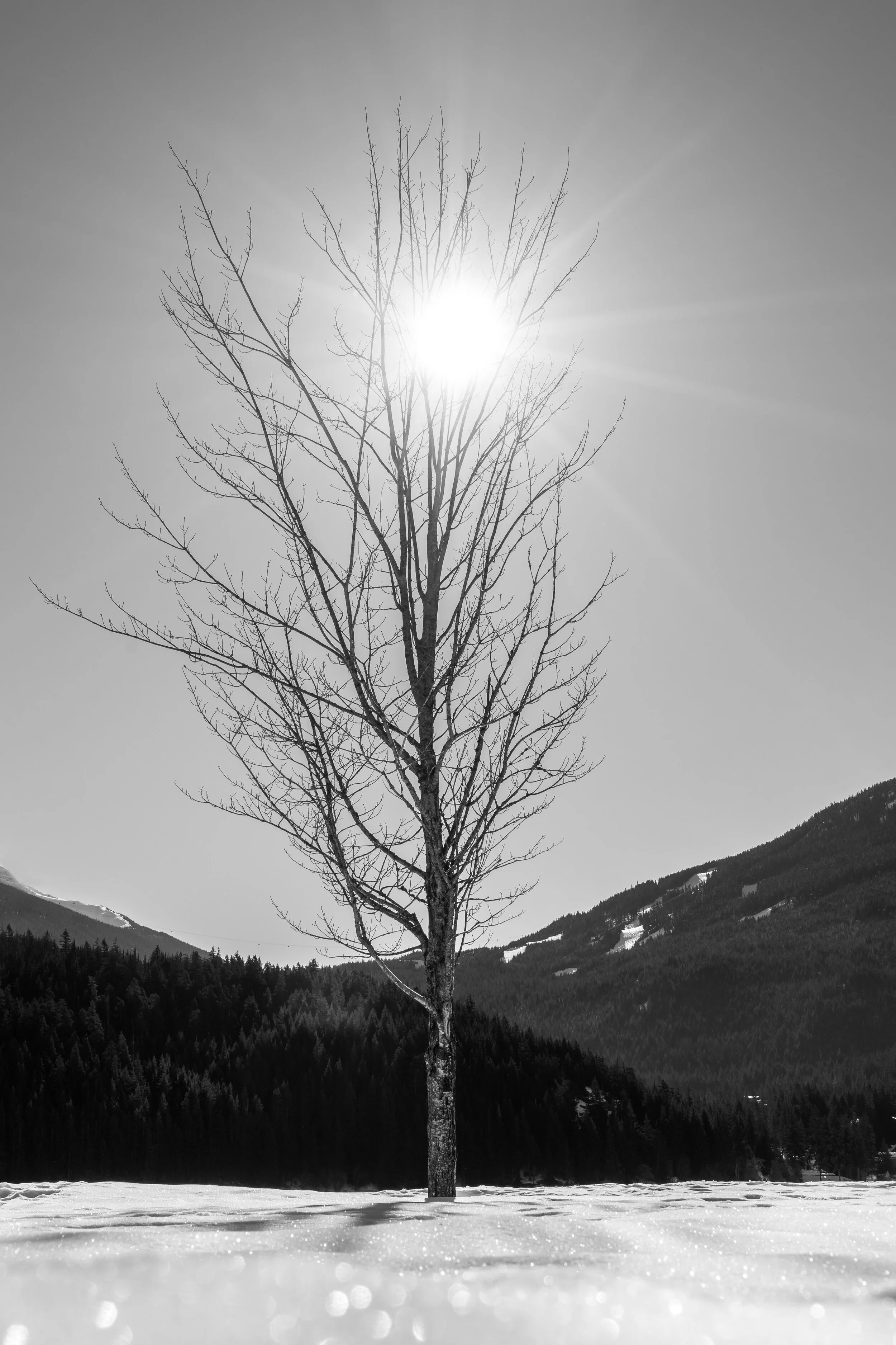 _DSC0034.jpg