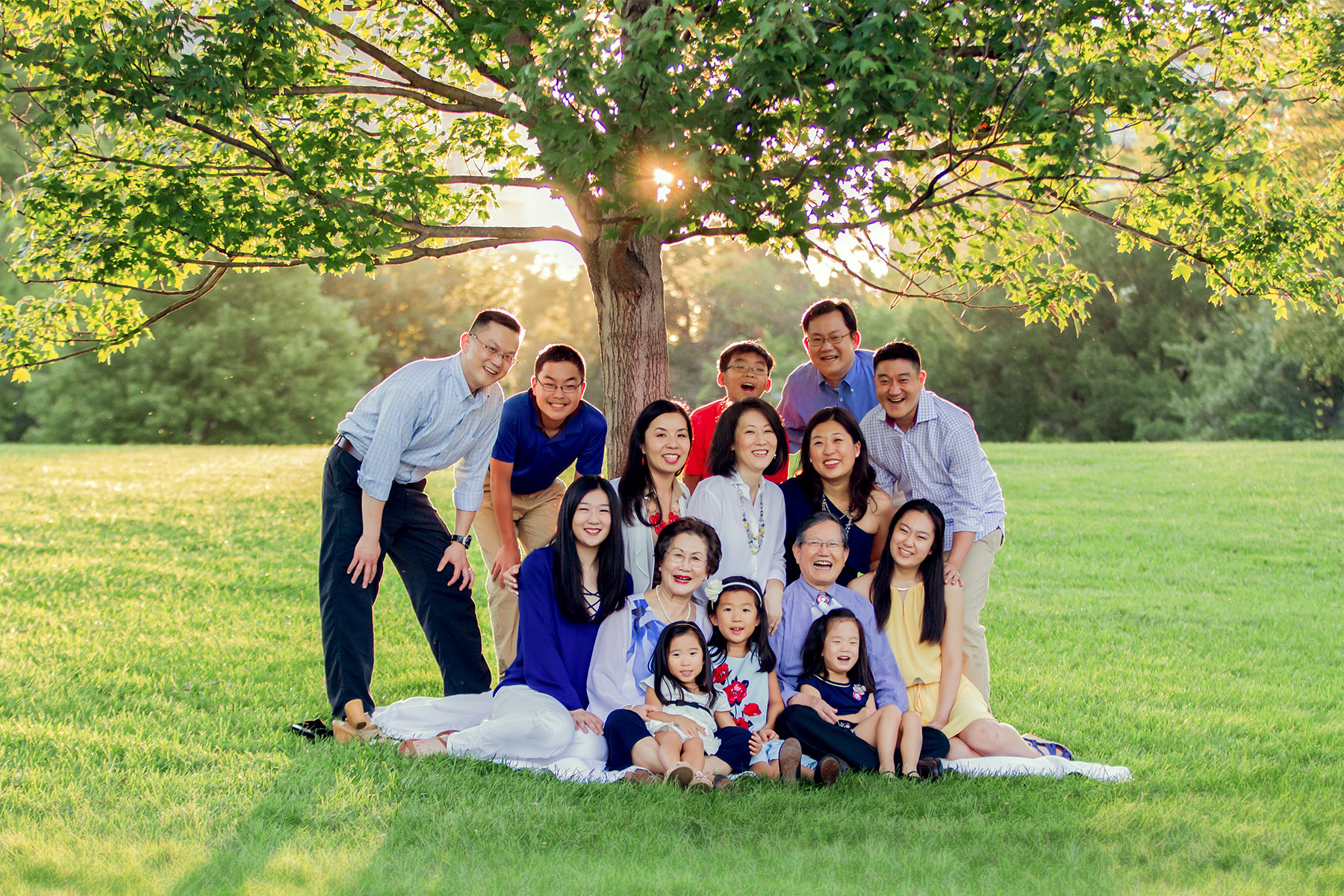  Family tree, Arlington VA, Arlington VA photographer, big family portrait, three generations 