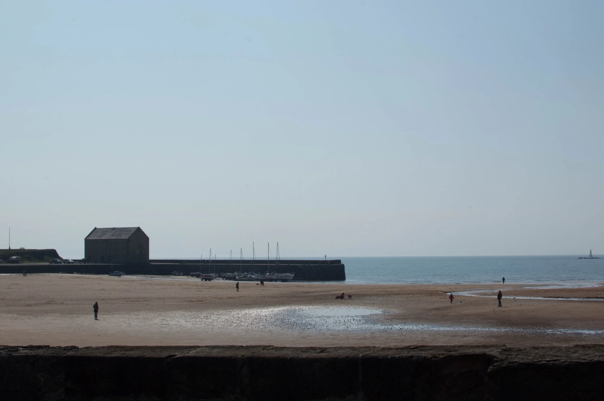 DSC_8723.jpg