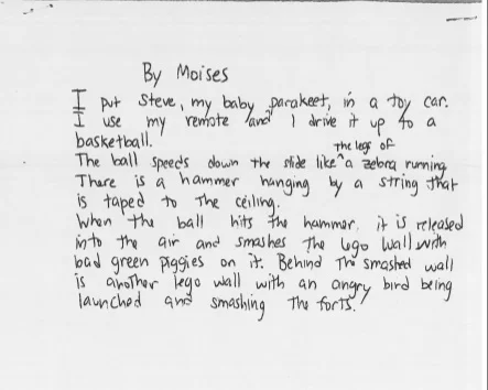 Rube Goldberg Poem by Moises
