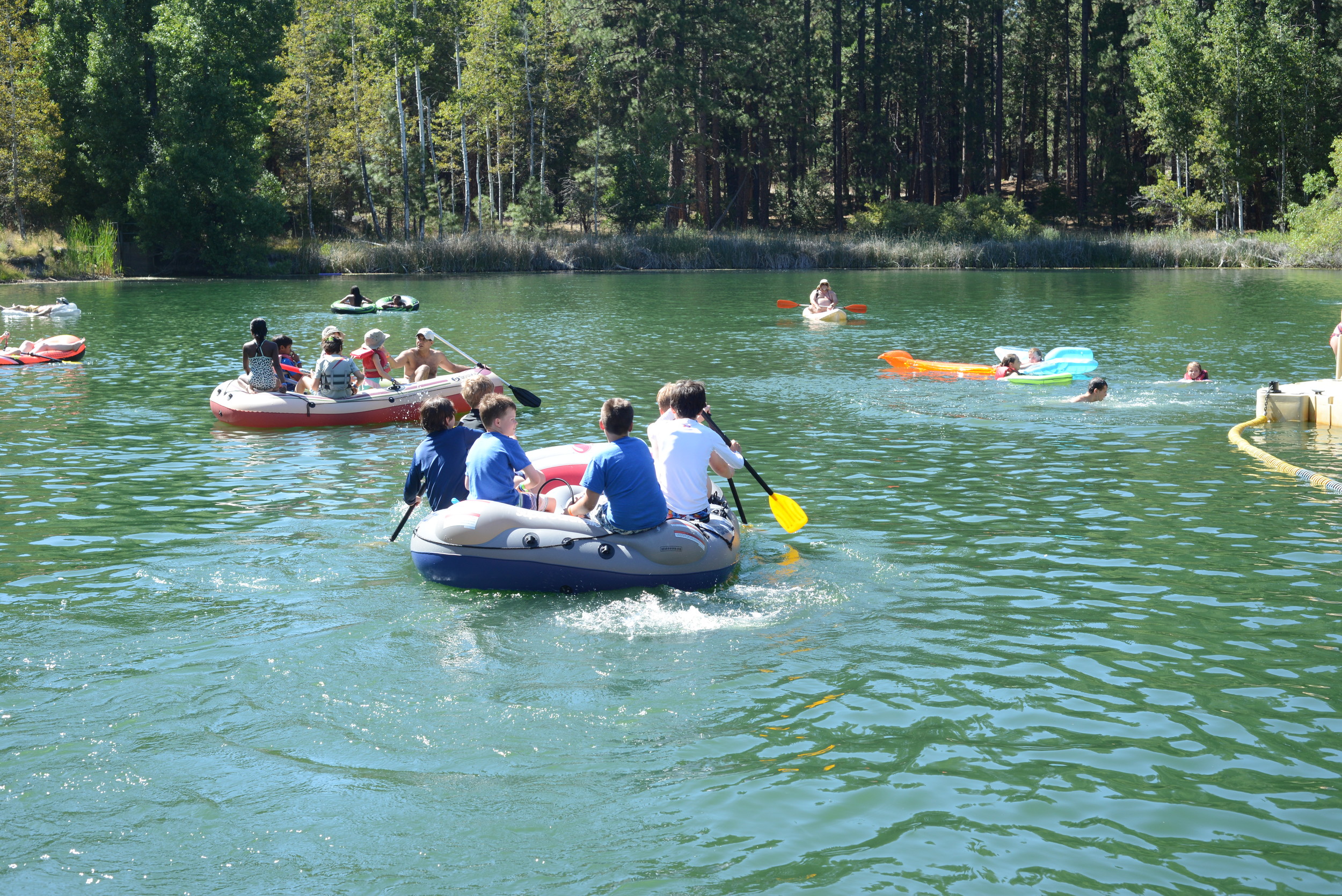 Why Not Write Wednesday: Summer Journal Prompt #10