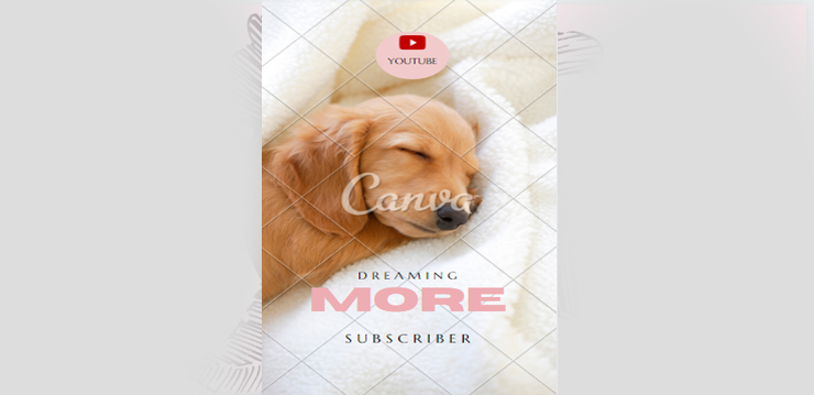 Dreaming of more subscriber