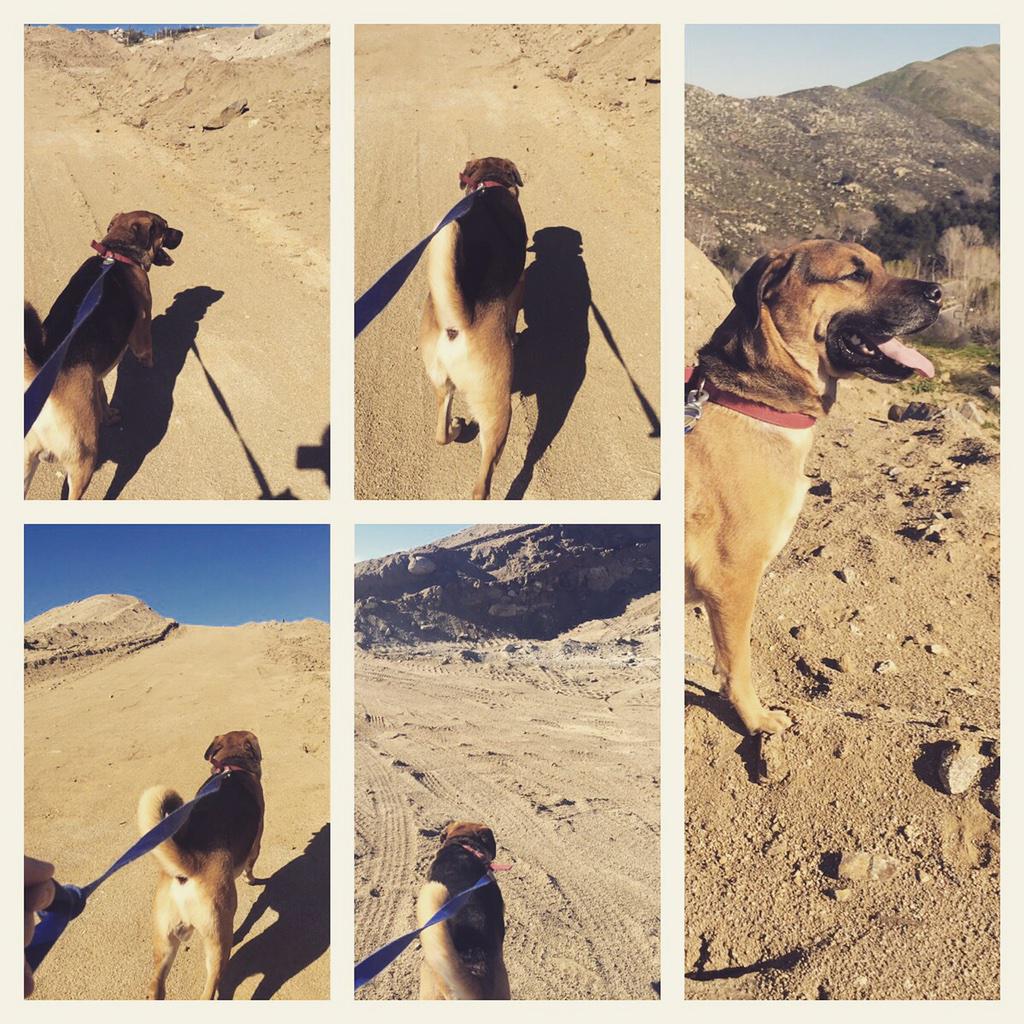 B9Htnr8CMAAsrBb.jpg large.jpg