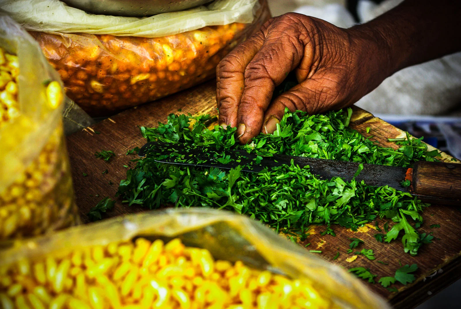 Cilantro -1.jpg
