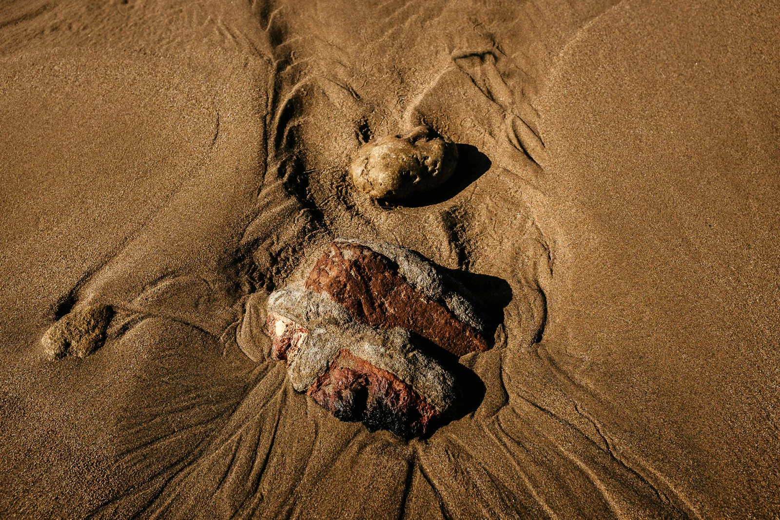 Seeing Sand (2 of 15).jpg