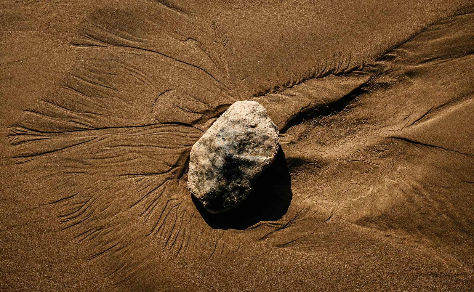 Seeing Sand (3 of 15).jpg