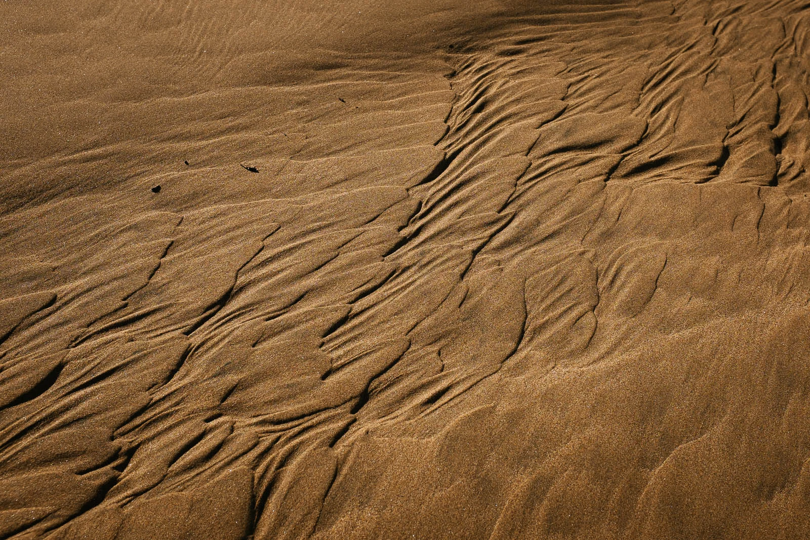 Seeing Sand (5 of 15).jpg