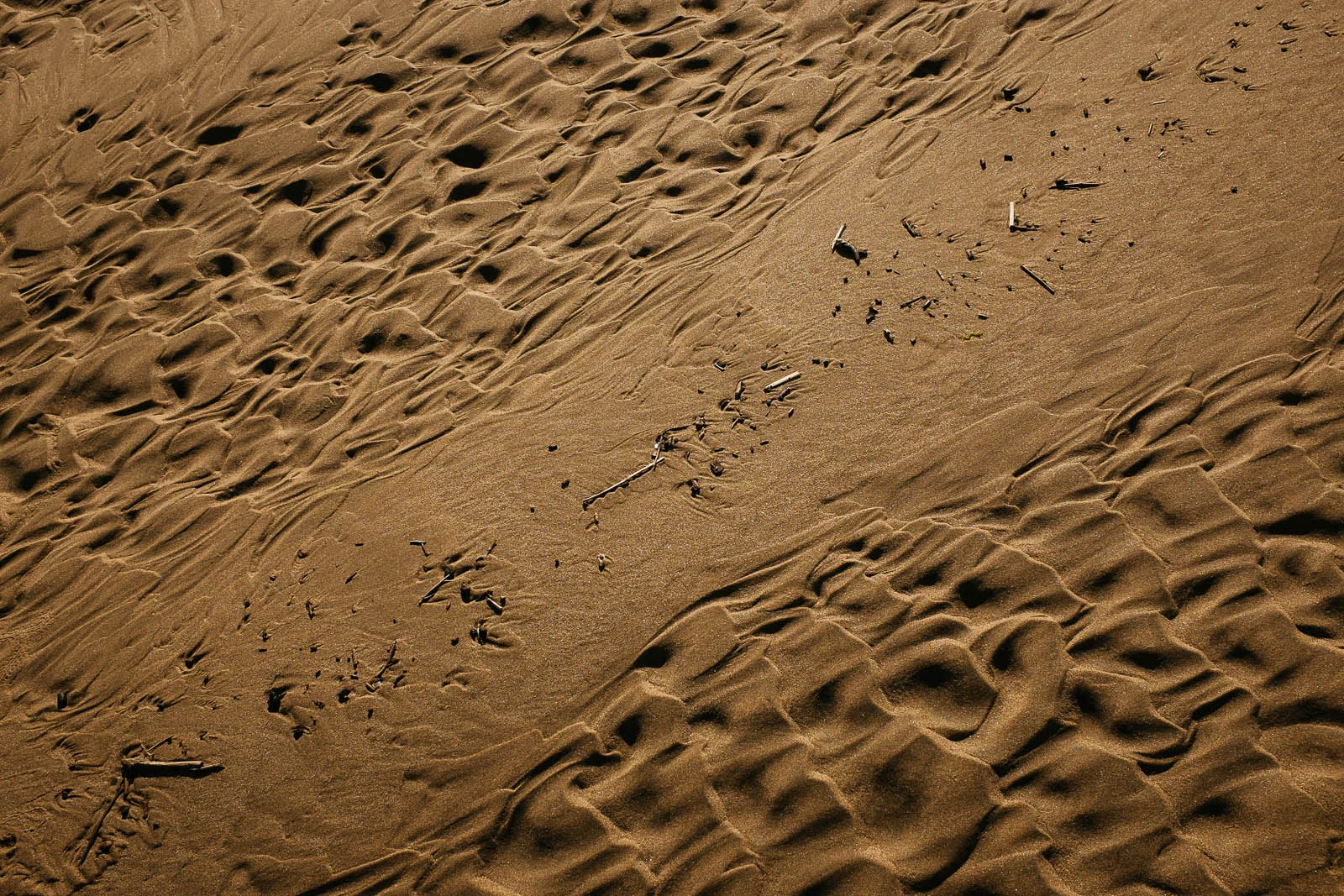 Seeing Sand (7 of 15).jpg