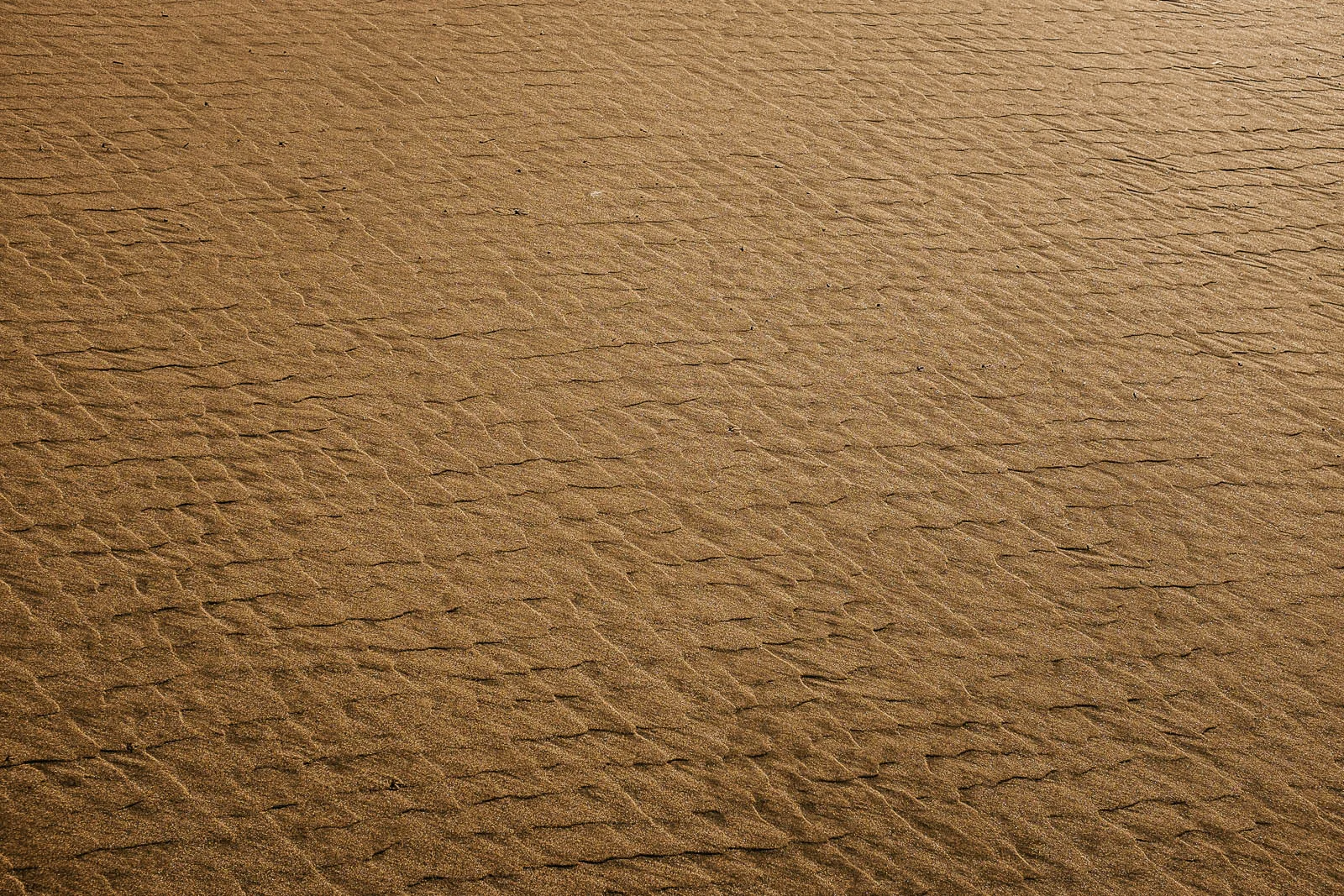 Seeing Sand (6 of 15).jpg