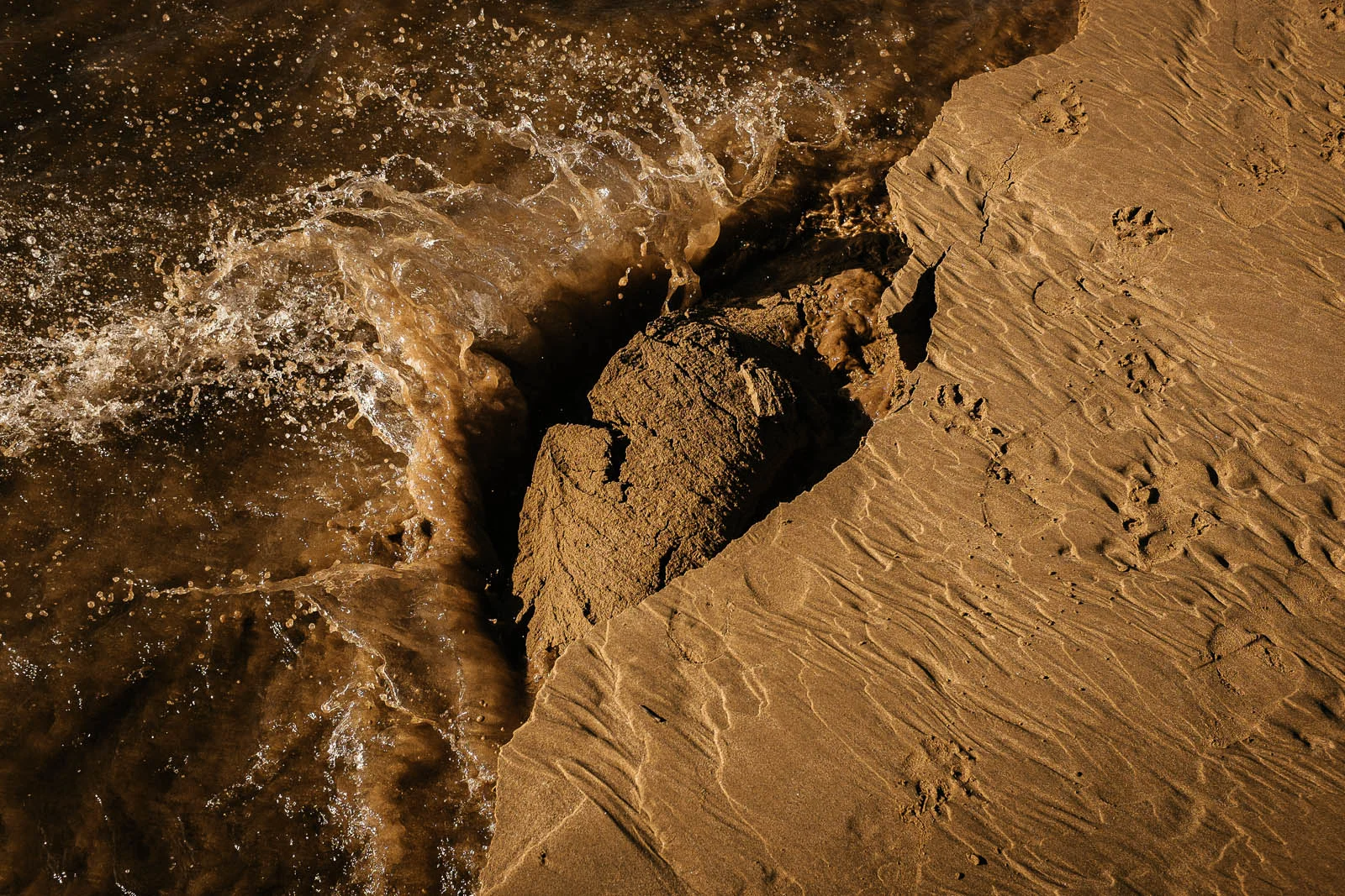 Seeing Sand (9 of 15).jpg