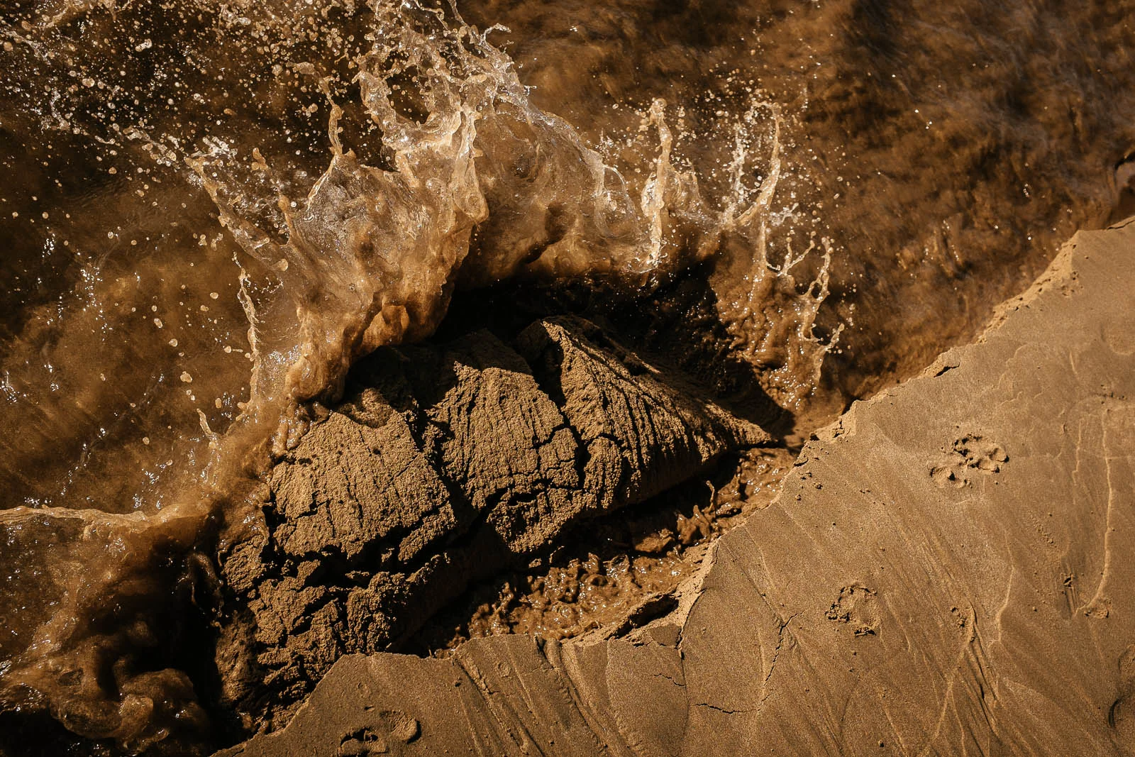 Seeing Sand (10 of 15).jpg