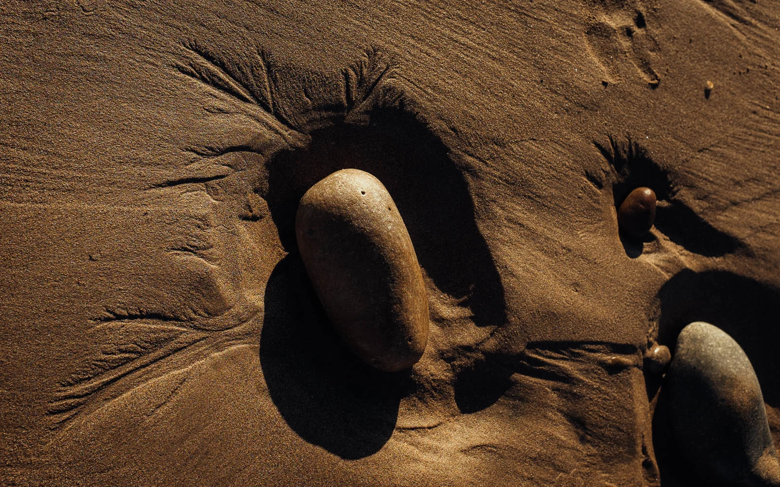 Seeing Sand (11 of 15).jpg