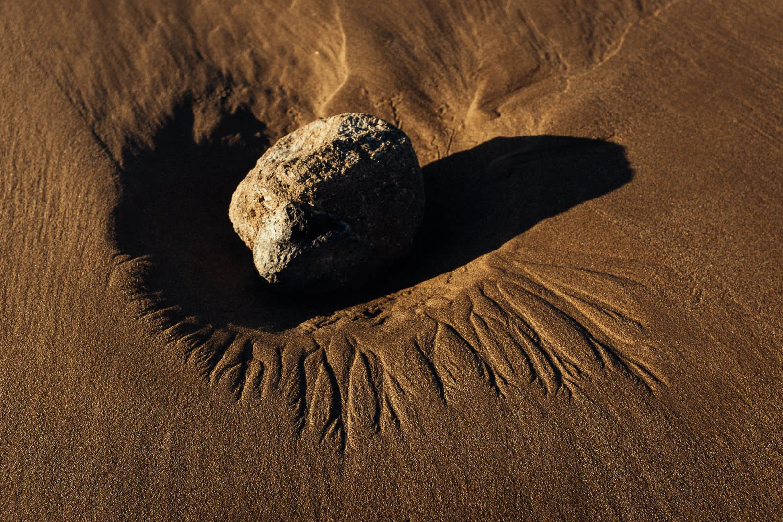 Seeing Sand (12 of 15).jpg