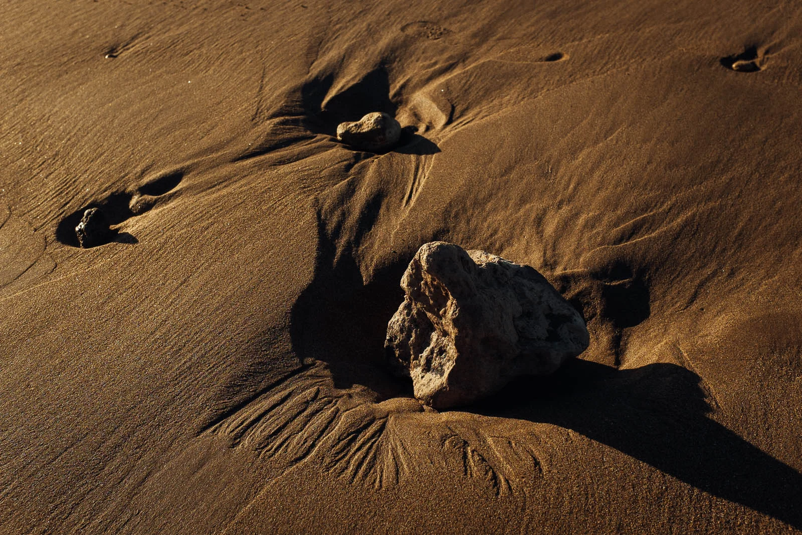 Seeing Sand (14 of 15).jpg