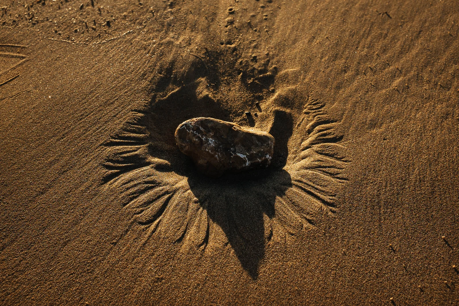 Seeing Sand (15 of 15).jpg