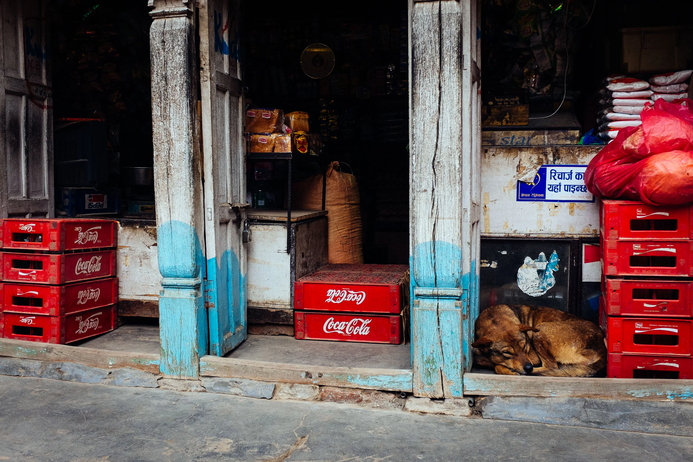 Coke Dog (1 of 1).jpg
