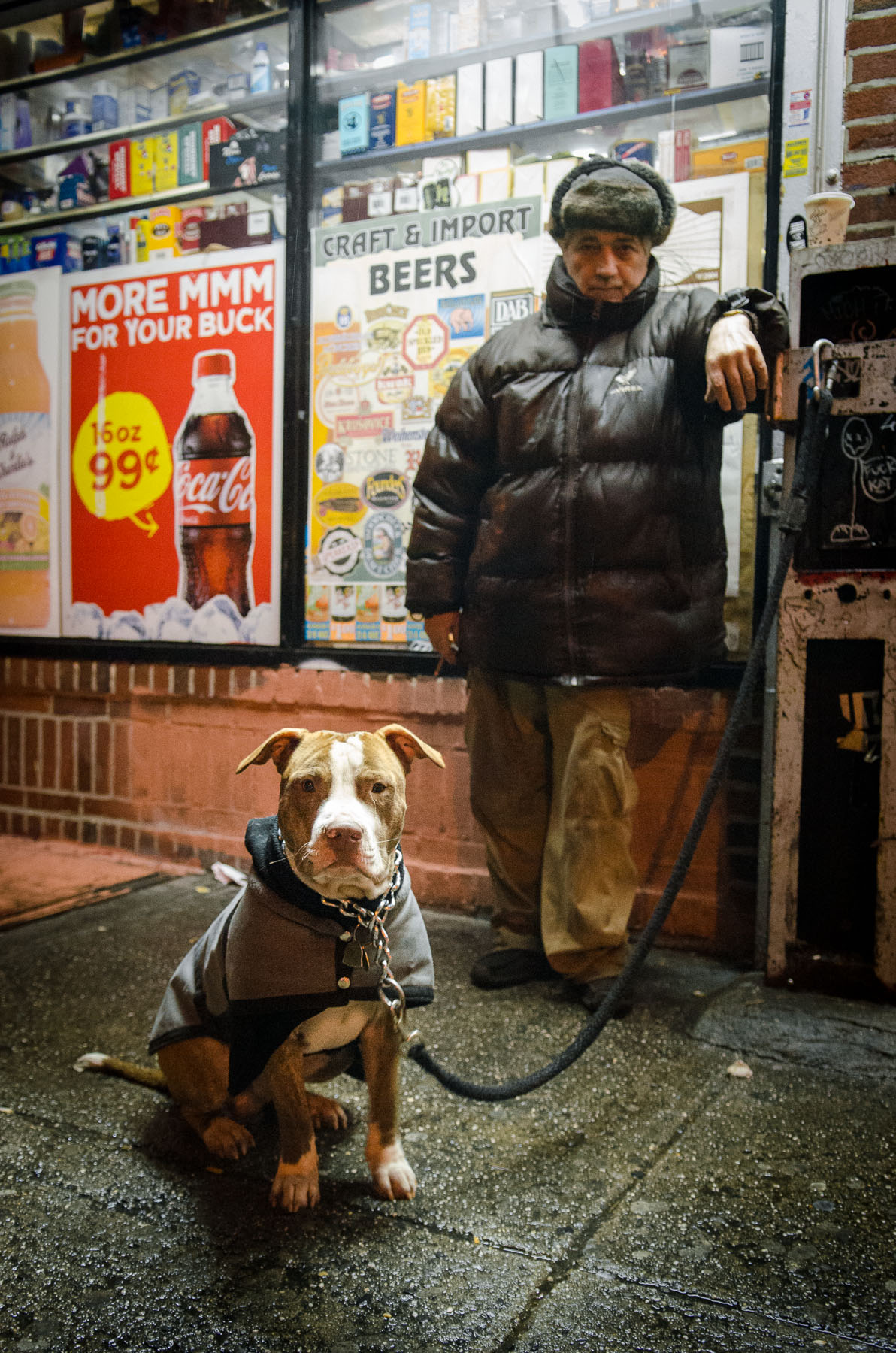 Bodega Pitbull-1.jpg