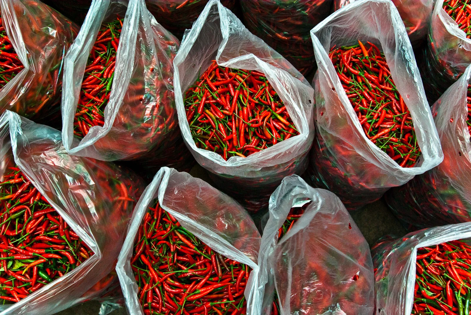 THE Hong Kong to Thailand-3.jpg