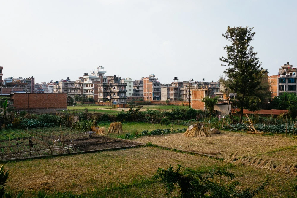 Prints 4 Nepal web-23.jpg