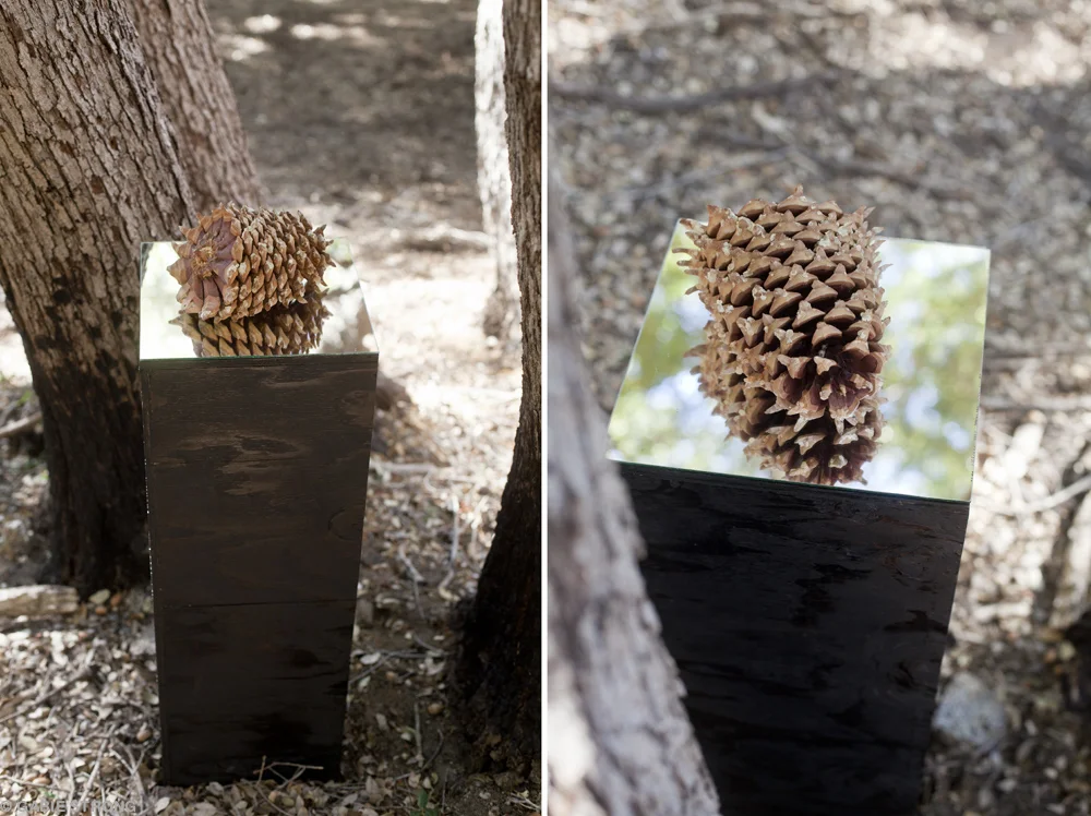 Pinecone/Mirror. Assemblage, 2012.