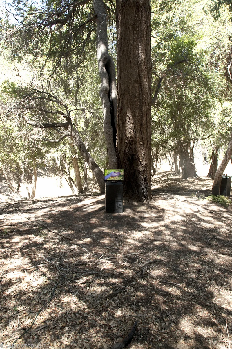 Solar Invocation, installation view. Knowledges at Mount Wilson Observatory, 2012.