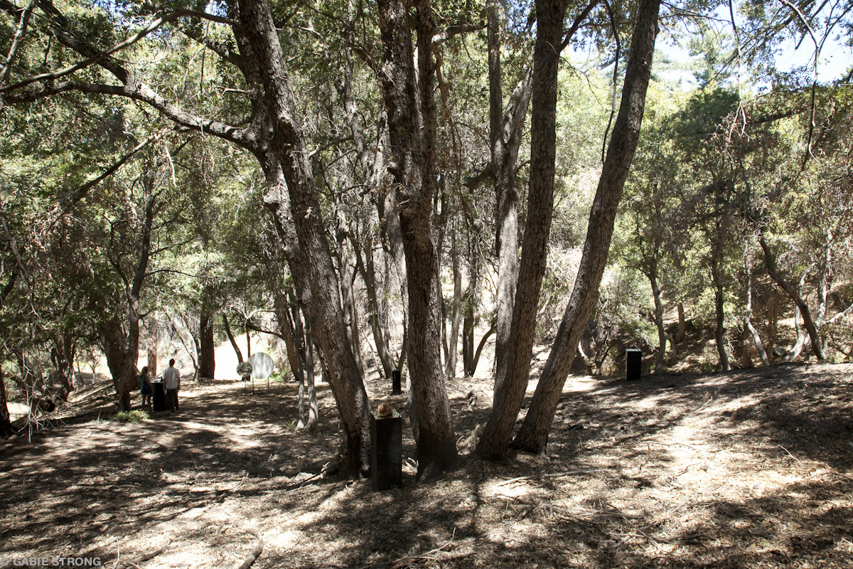 Solar Invocation. Installation view, Knowledges at Mount Wilson, 2012.