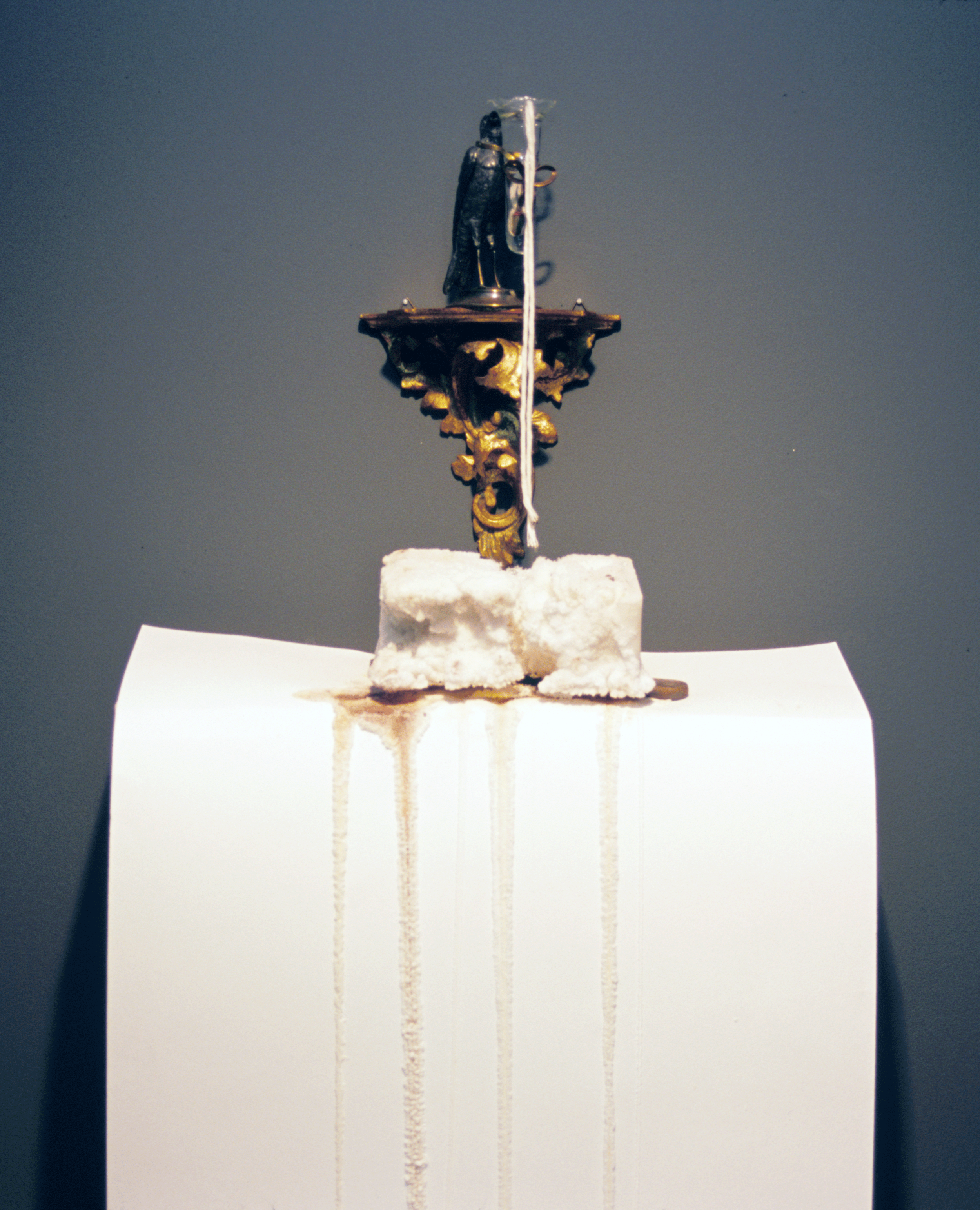 Salt Camera