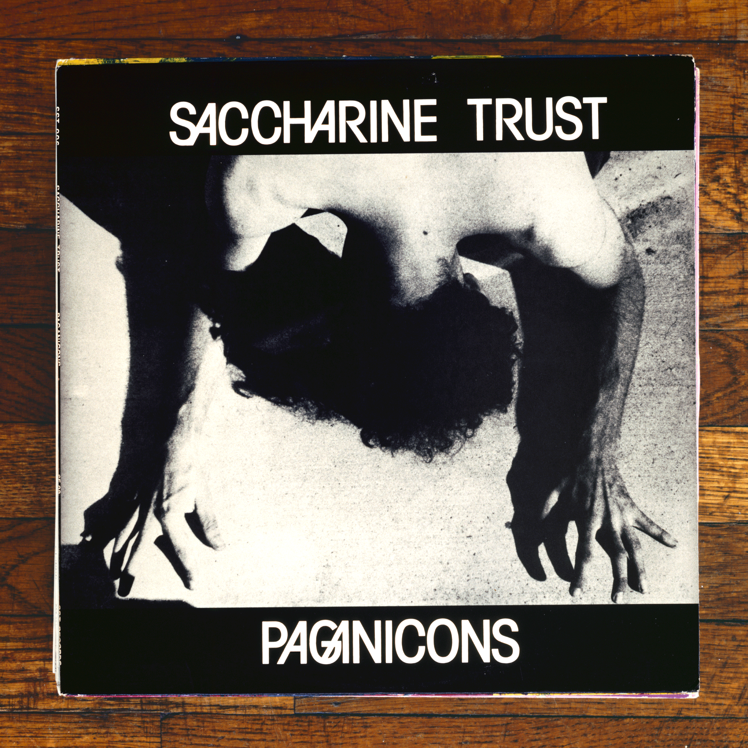 Pagan Icons (Saccharine Trust, Hermosa, 1981), 2010/2012