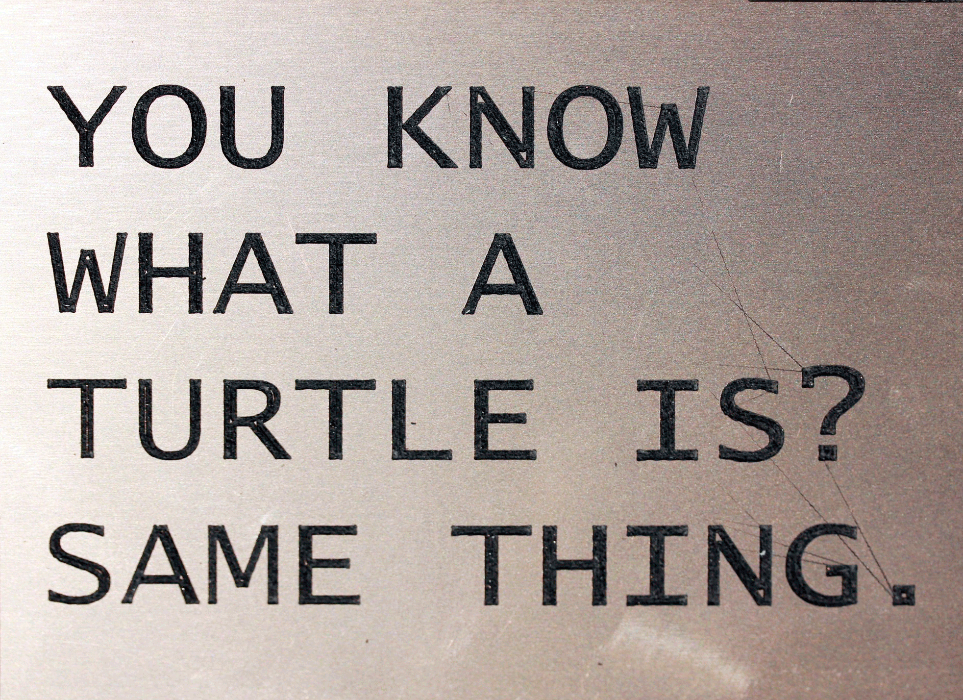 youknowwhataturtleis.png