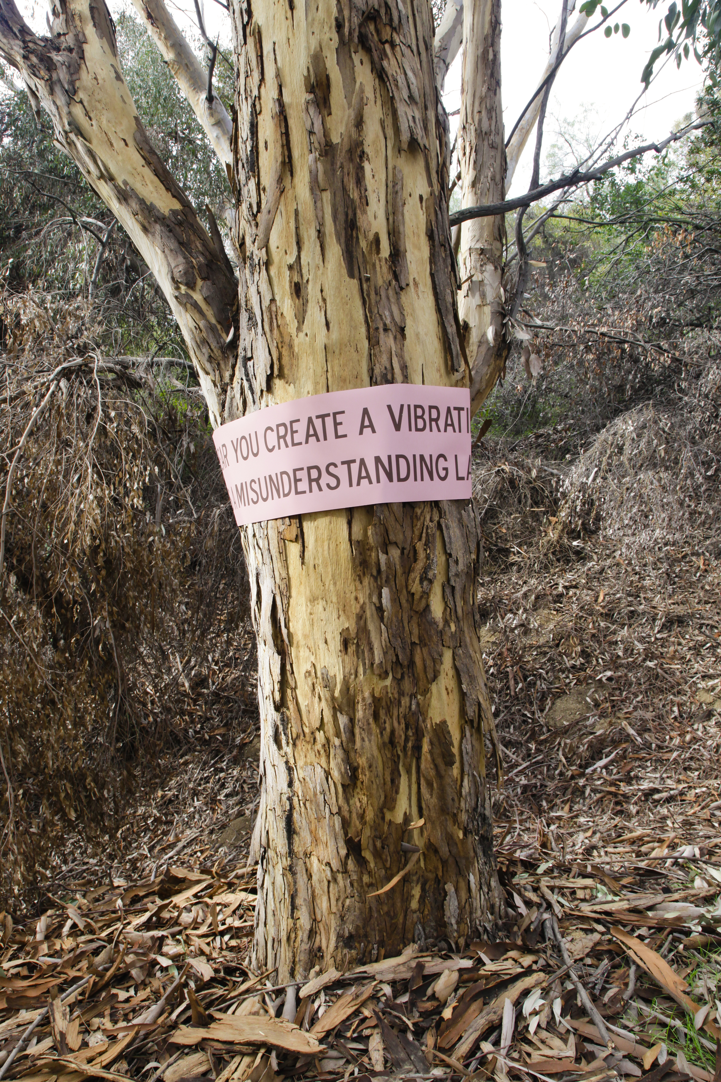 Eucalyptus Carvers: A public art intervention in Elysian Park, 1