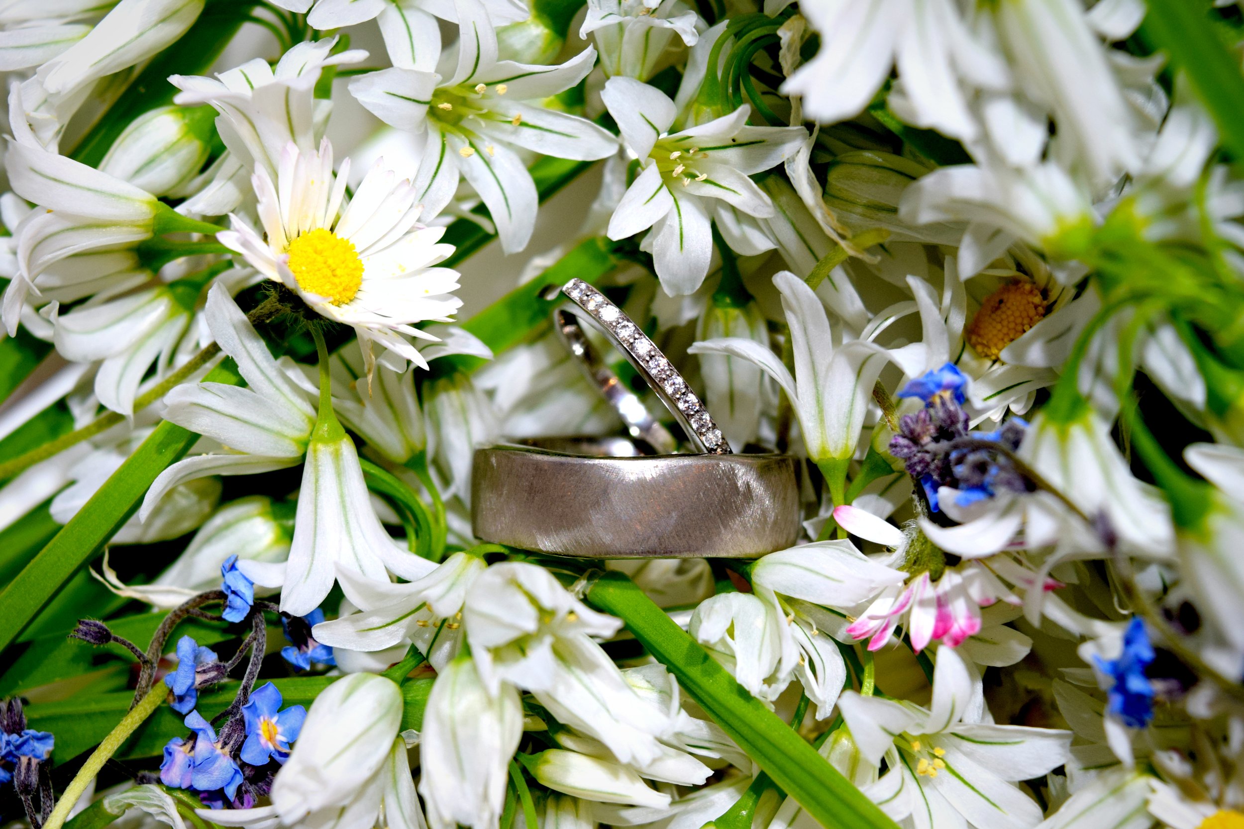 Wedding bands in flowers