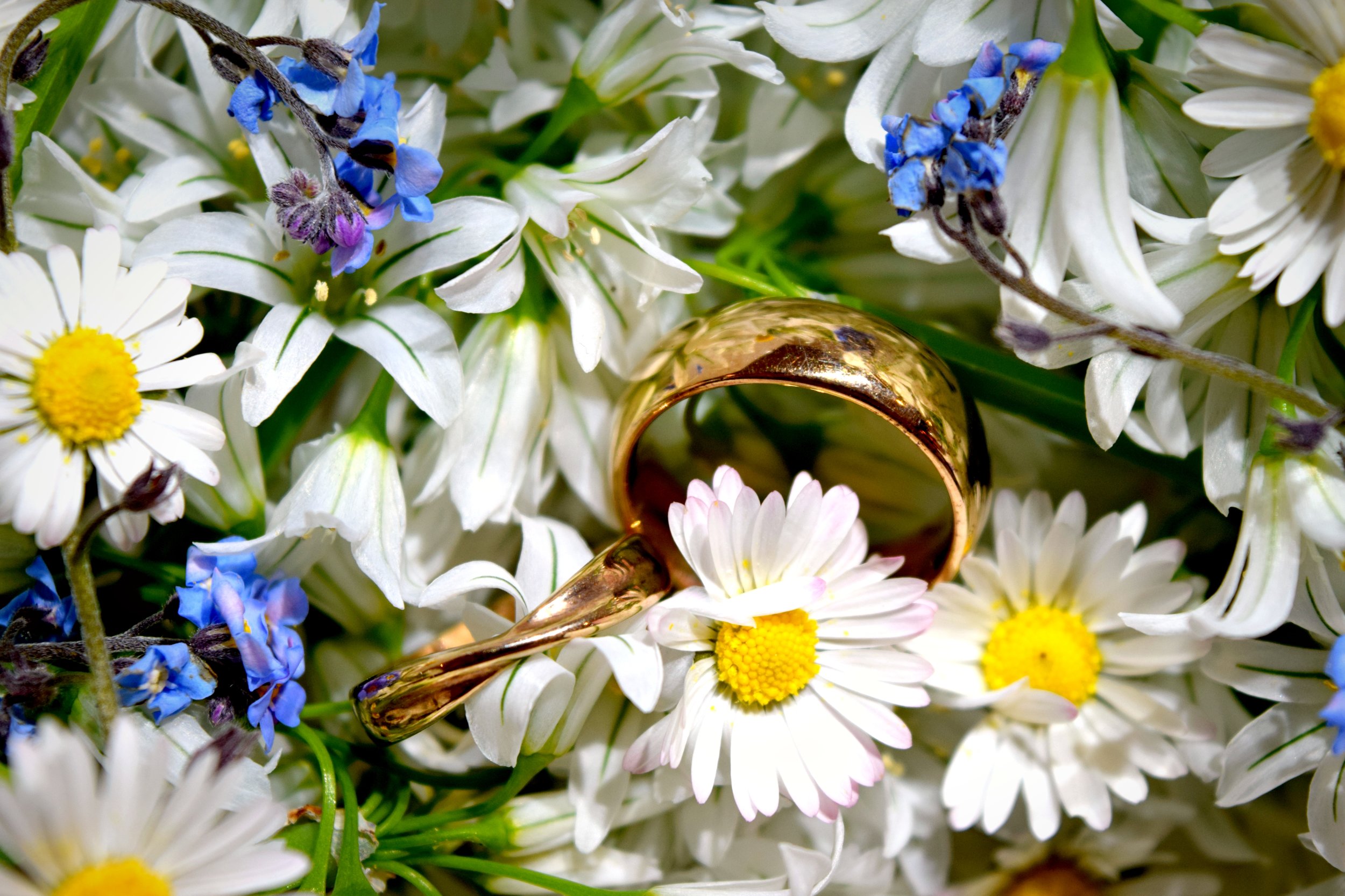 Wedding bands in flowers