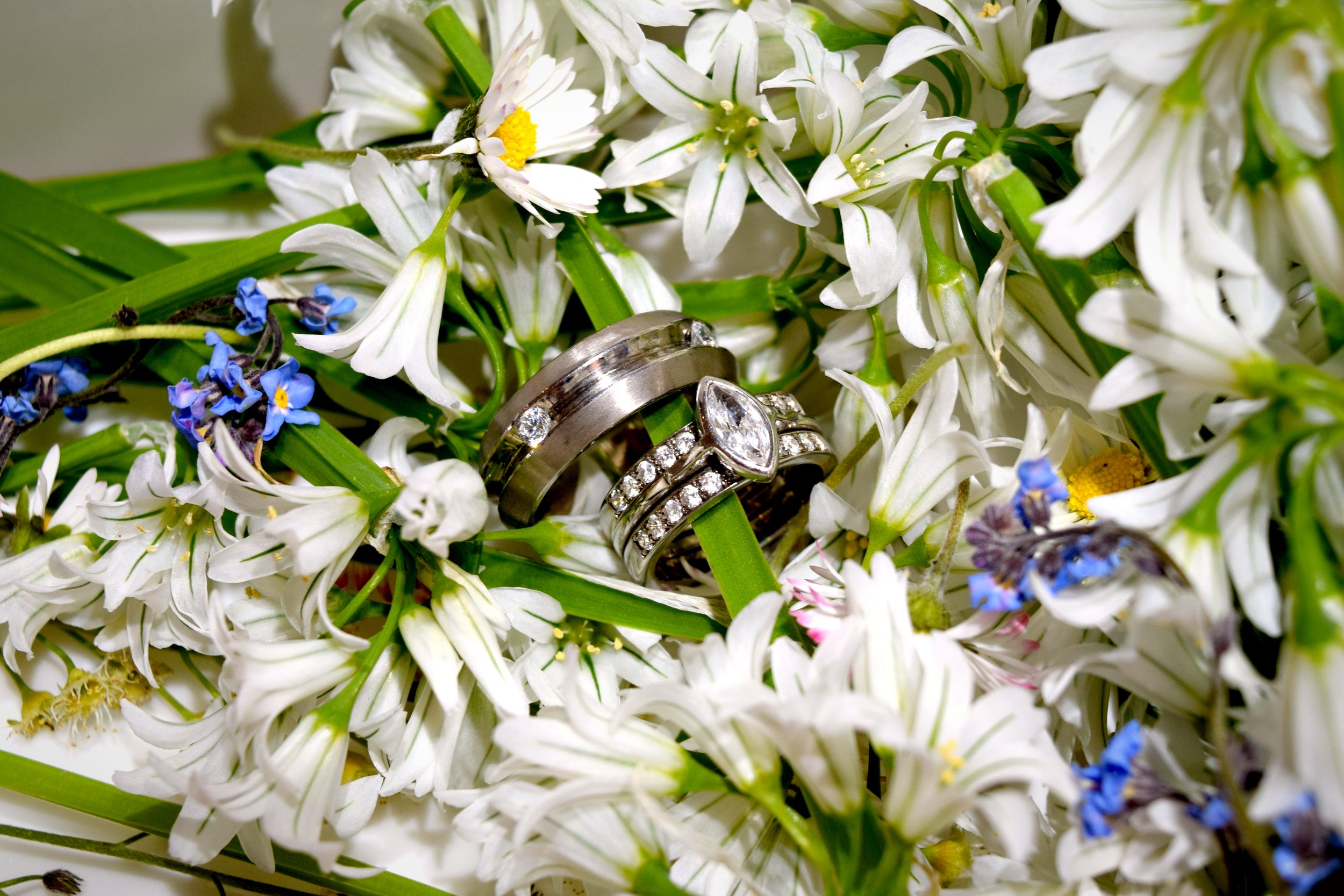 Wedding bands in flowers