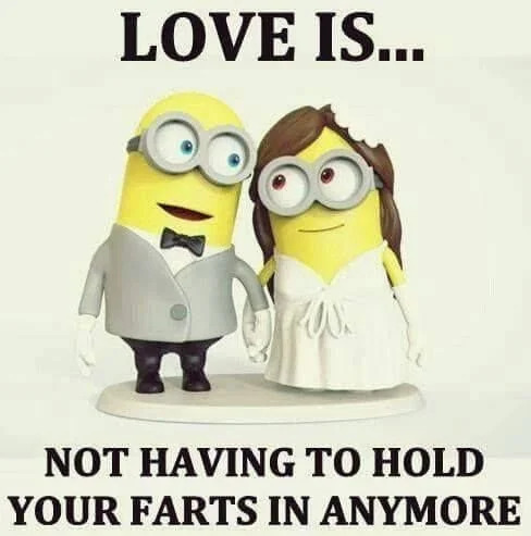 funny-quotes-love-is-not-having-to-hold-your-farts-in-anymore-love-love-quotes-funny-quotes-q.jpg