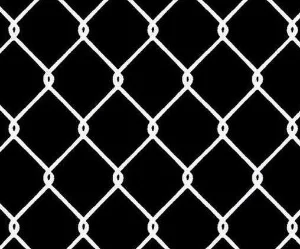 11086978_10203876678904752_1286956626_n.jpg