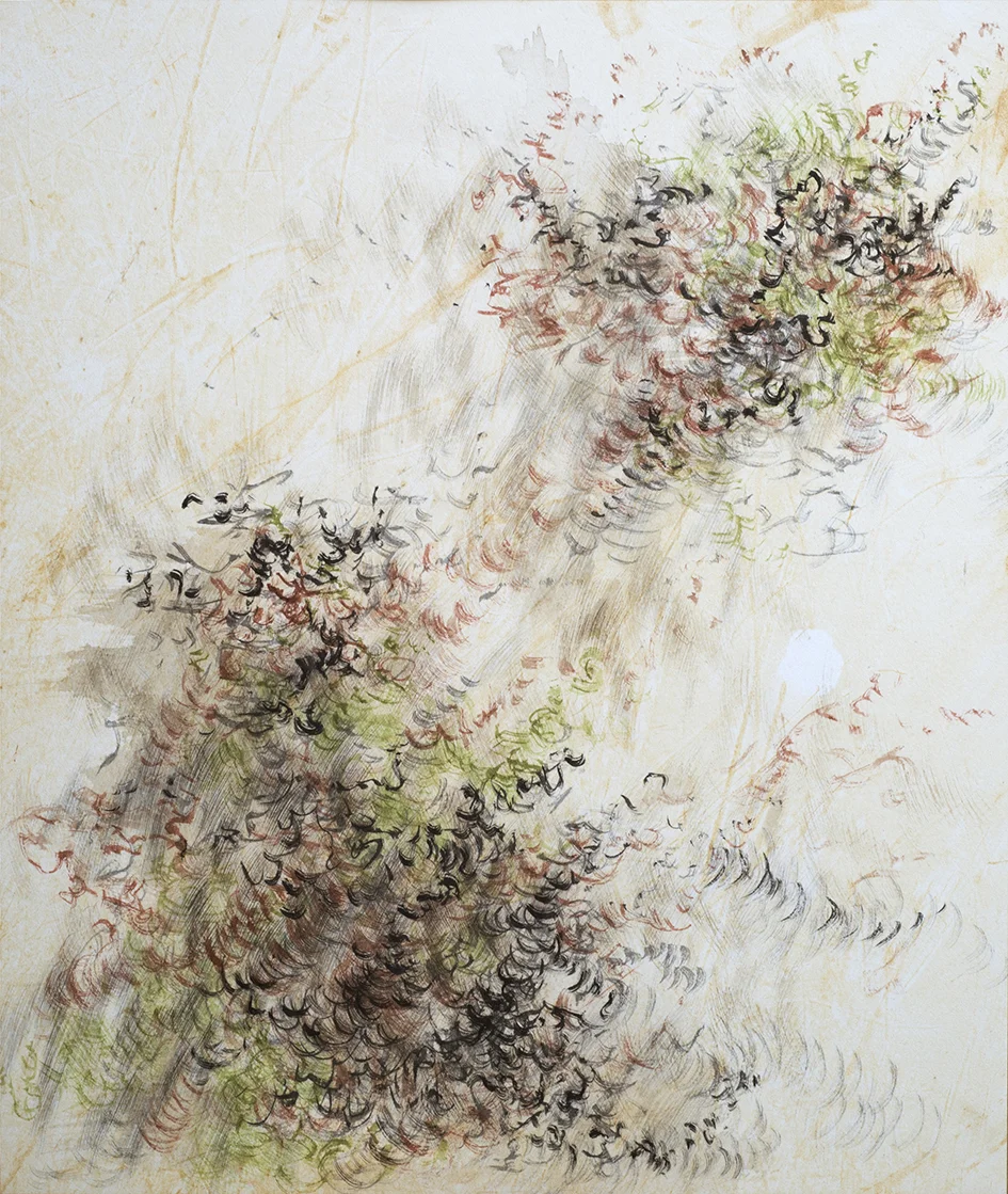 Golden Gully Study 1.jpg