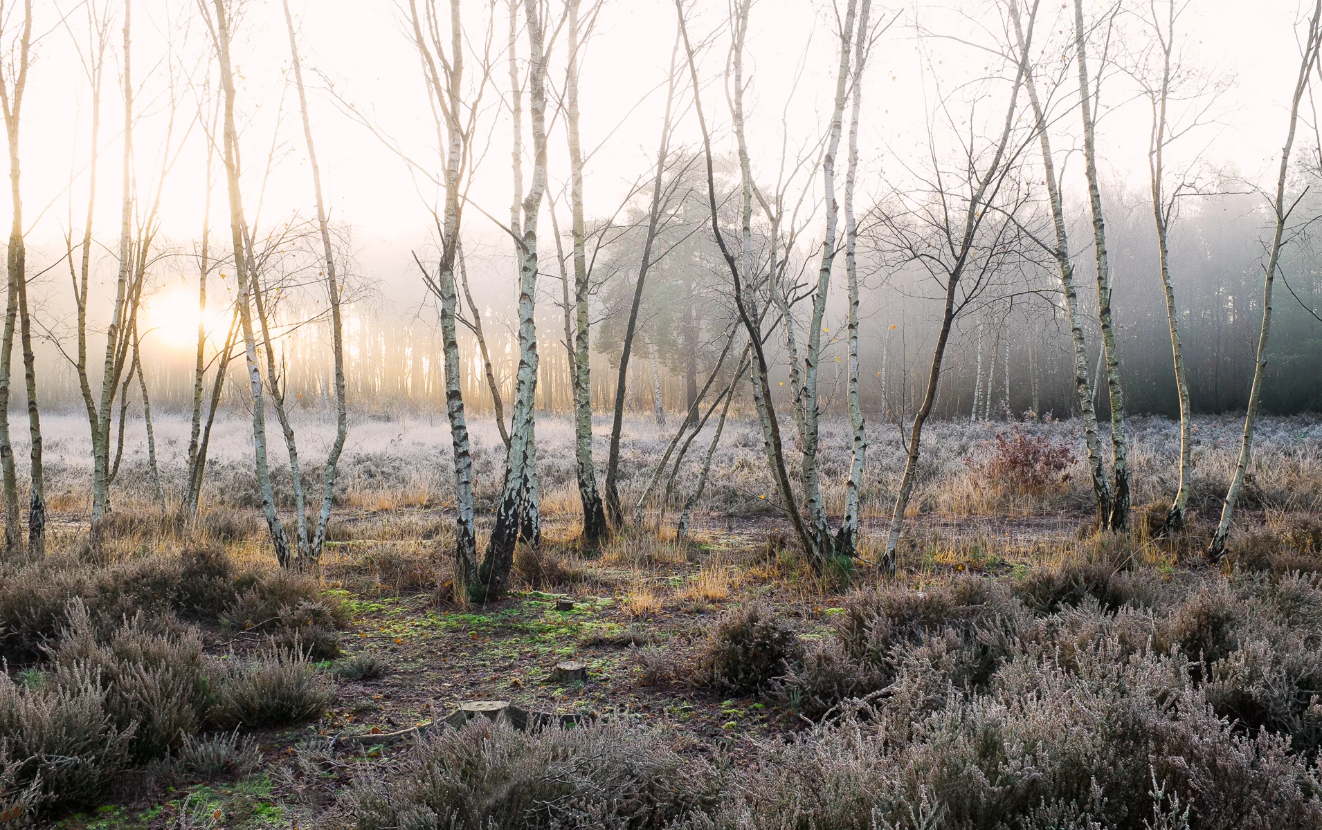 Sunrise_Alex_Wallace_Photography_21194-Edit.jpg