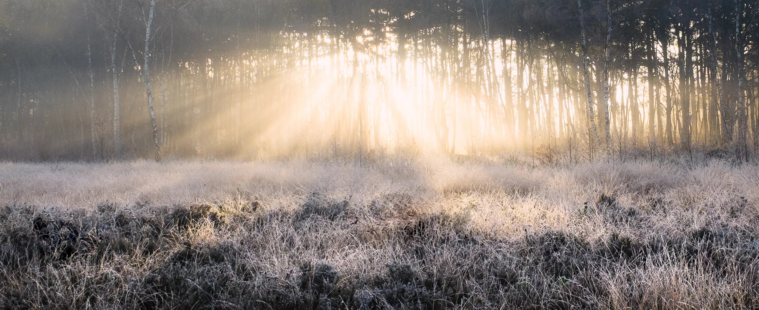 Sunrise_Alex_Wallace_Photography_21260-Edit-2.jpg